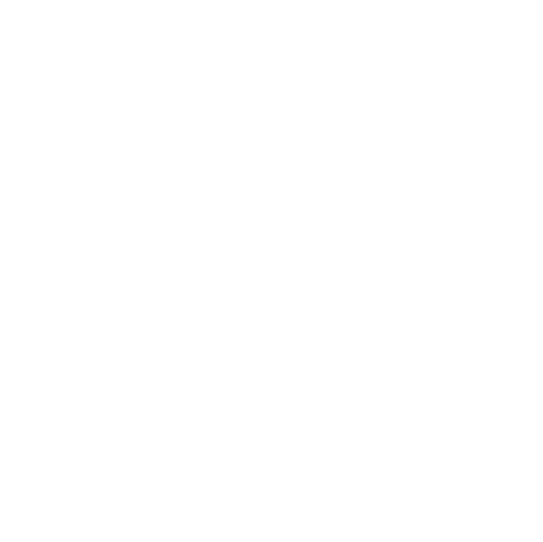 MAIN Segment Logo